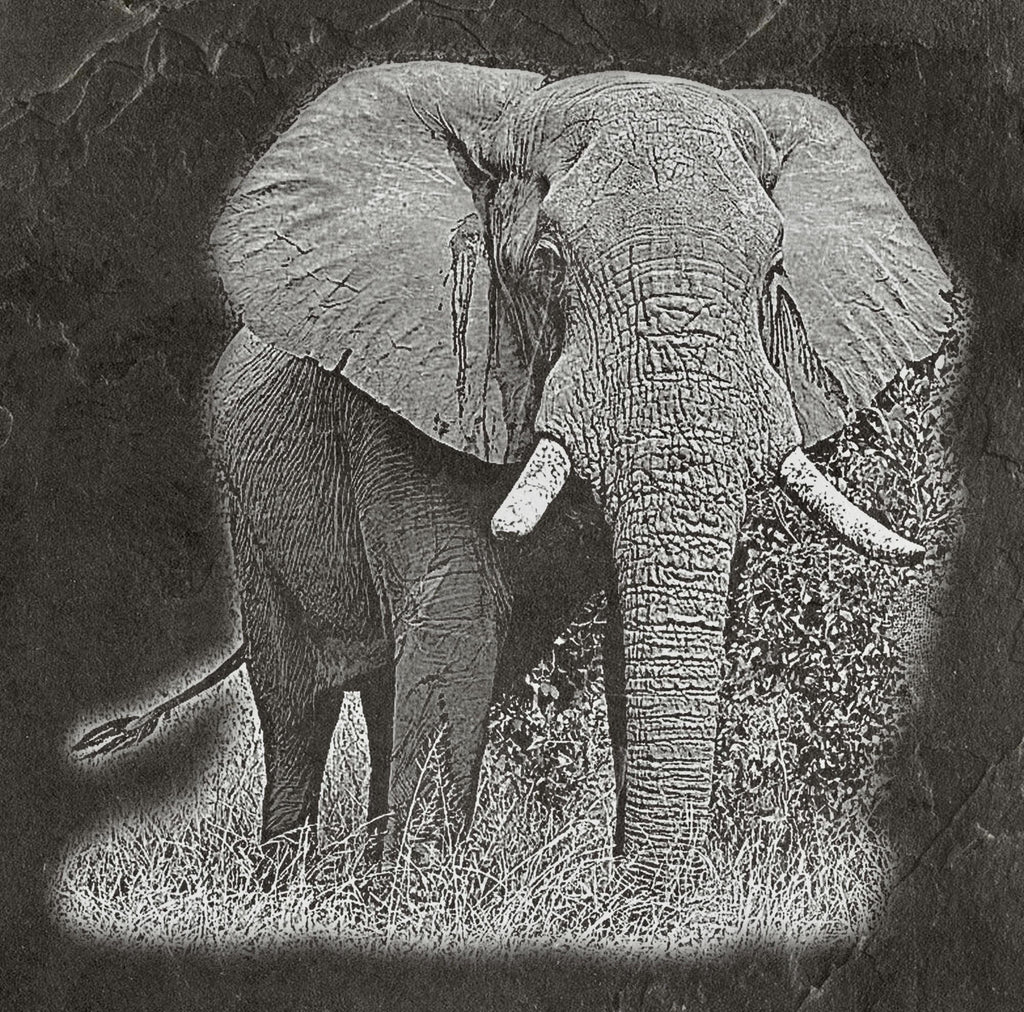 Elephant in Savannah 8  PNG files | Laser Engraving File | Wildlife Digital Download | Slate Engraving Design