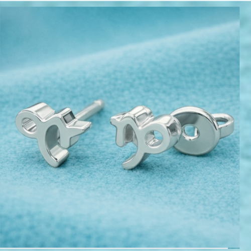 Capricorn Zodiac Symbol Stud Earrings in Silver or Polished Brass | Minimal Astrology Studs | 7 × 7 × 3 mm