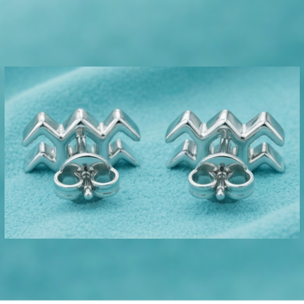 Aquarius Symbol Stud Earrings in Silver and Polished brass | Minimal Zodiac Earrings