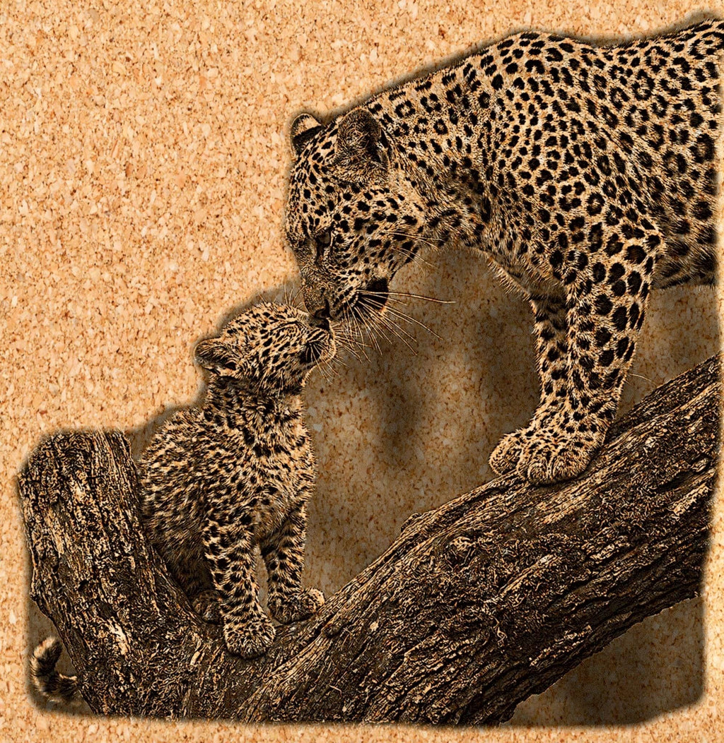 Leopard PNG Set – 5 Files | African Safari Wildlife | Laser Engraving Digital Download