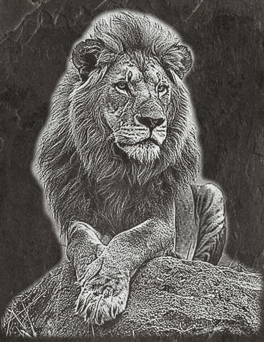 Lion Family PNG Set – 5 Images | Lion, Lioness & Cubs | Wildlife Laser Engraving | Digital Download