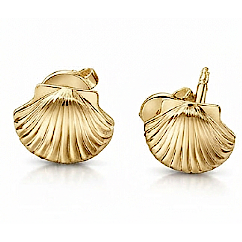 Gold Shell Stud Earrings | 9k 14k 18k Seashell Studs | MokshaGoldSculptures