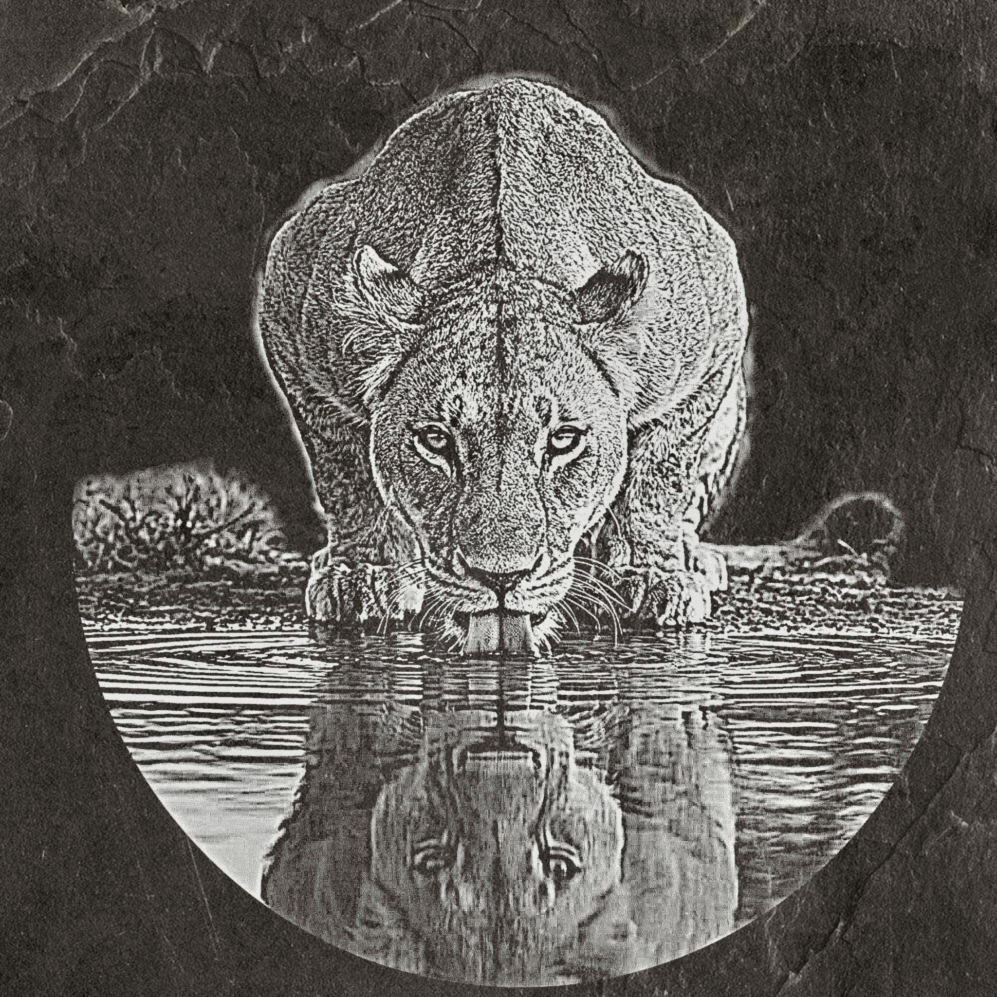 Lion Waterhole PNG Set – 5 Images | Lionesses Portrait & Playful Cubs | Wildlife Laser Engraving | Digital Download