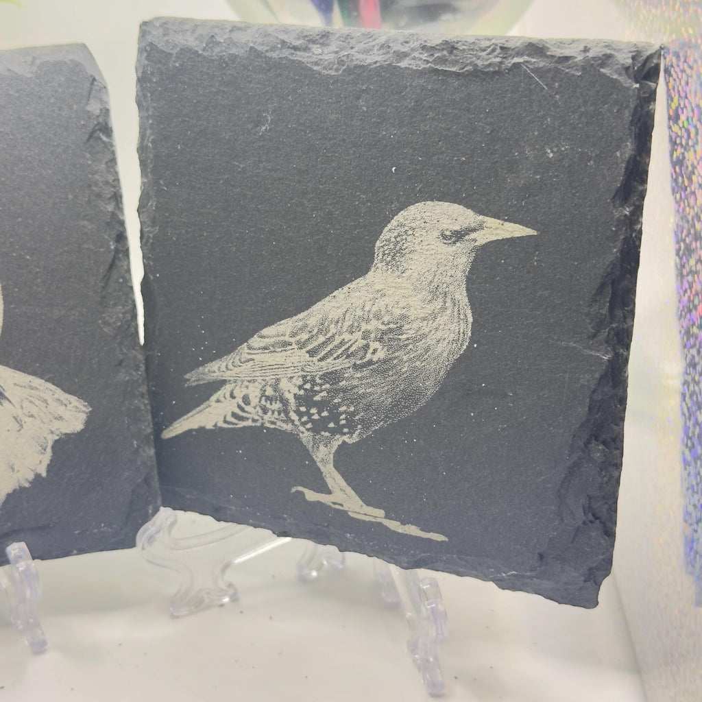 Starling Bird Slate Coaster | Handmade Engraved Wildlife Coaster | British Bird Gift | Nature Lover Home Decor