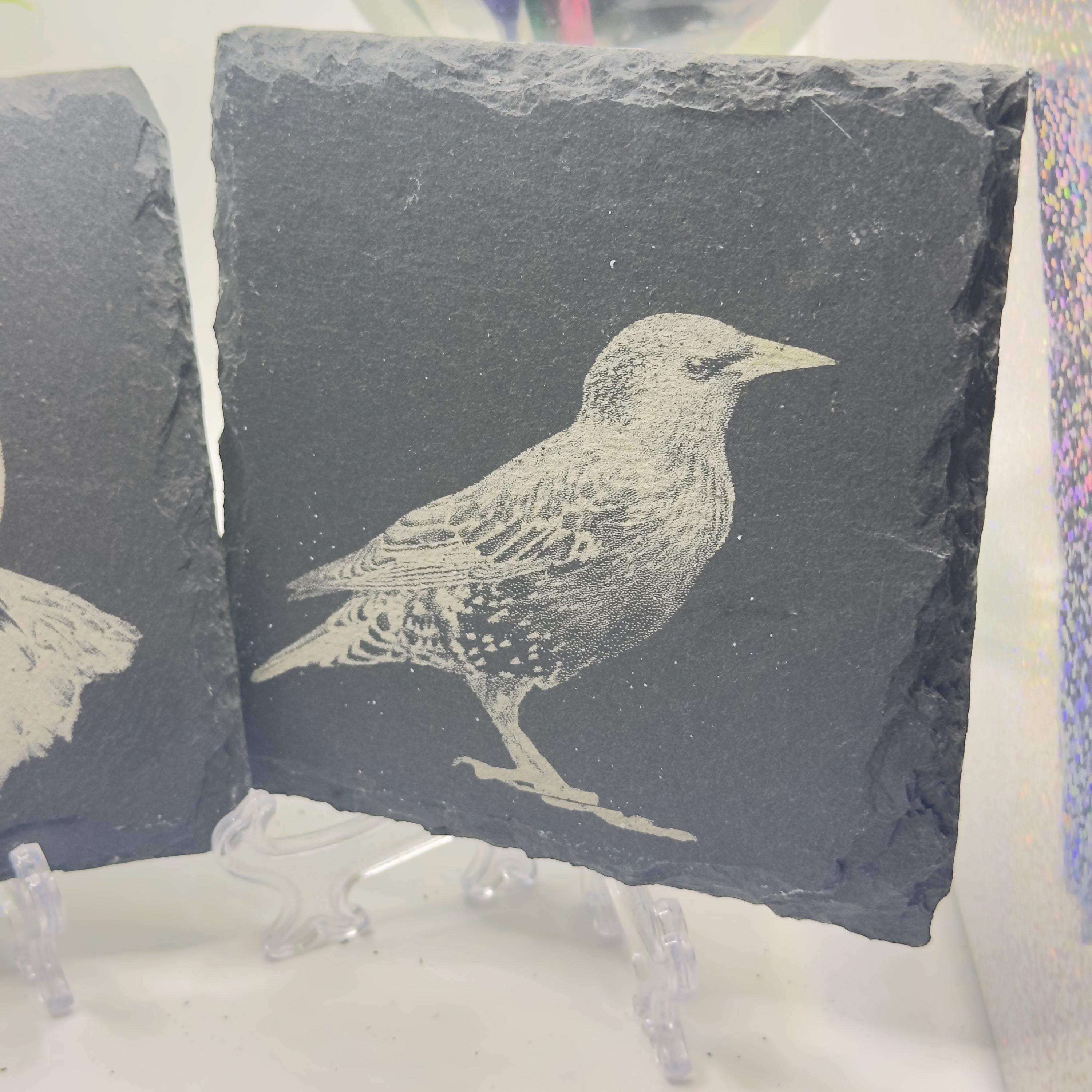 Starling Bird Slate Coaster | Handmade Engraved Wildlife Coaster | British Bird Gift | Nature Lover Home Decor
