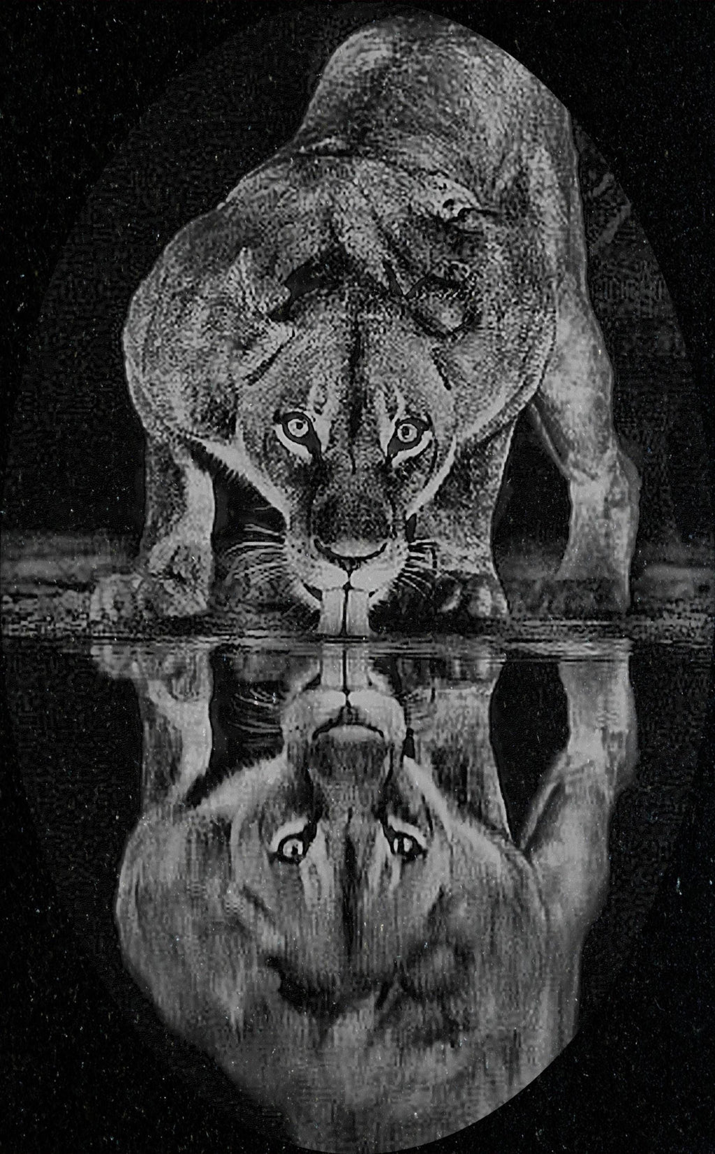 Lion at Waterhole PNG Bundle – 10 African Wildlife Images | Digital Download in 2  ZIP