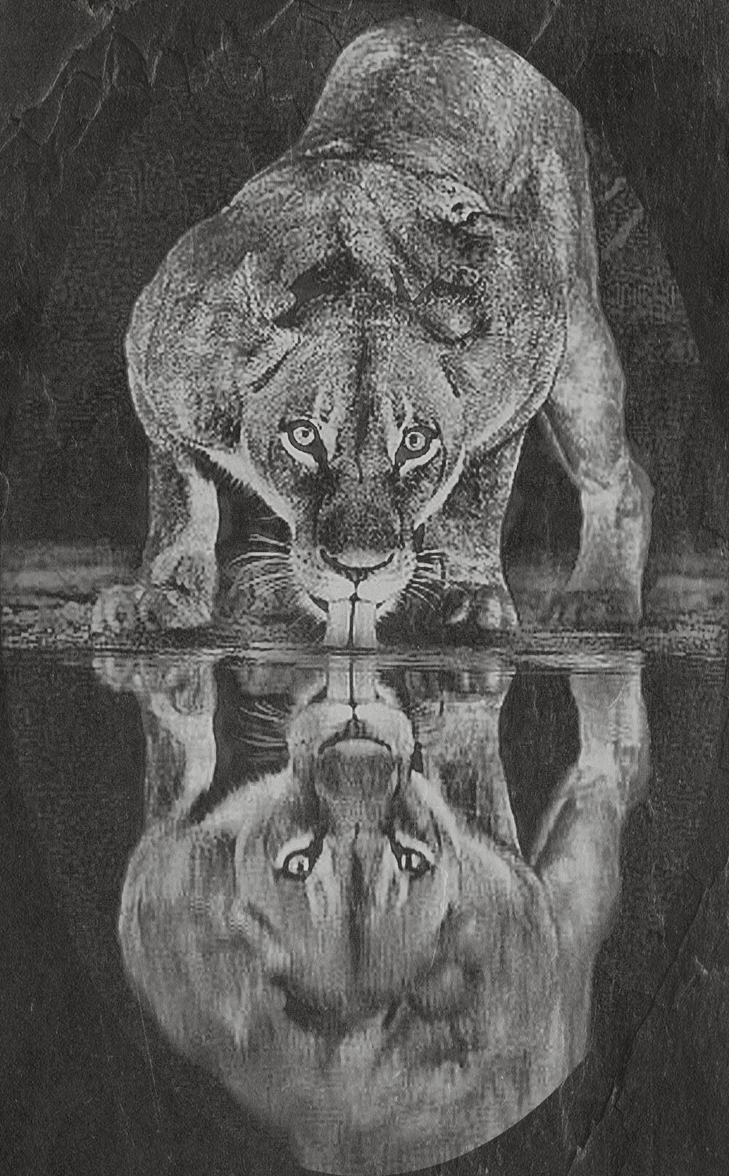 Lion at Waterhole PNG Bundle – 10 African Wildlife Images | Digital Download in 2  ZIP