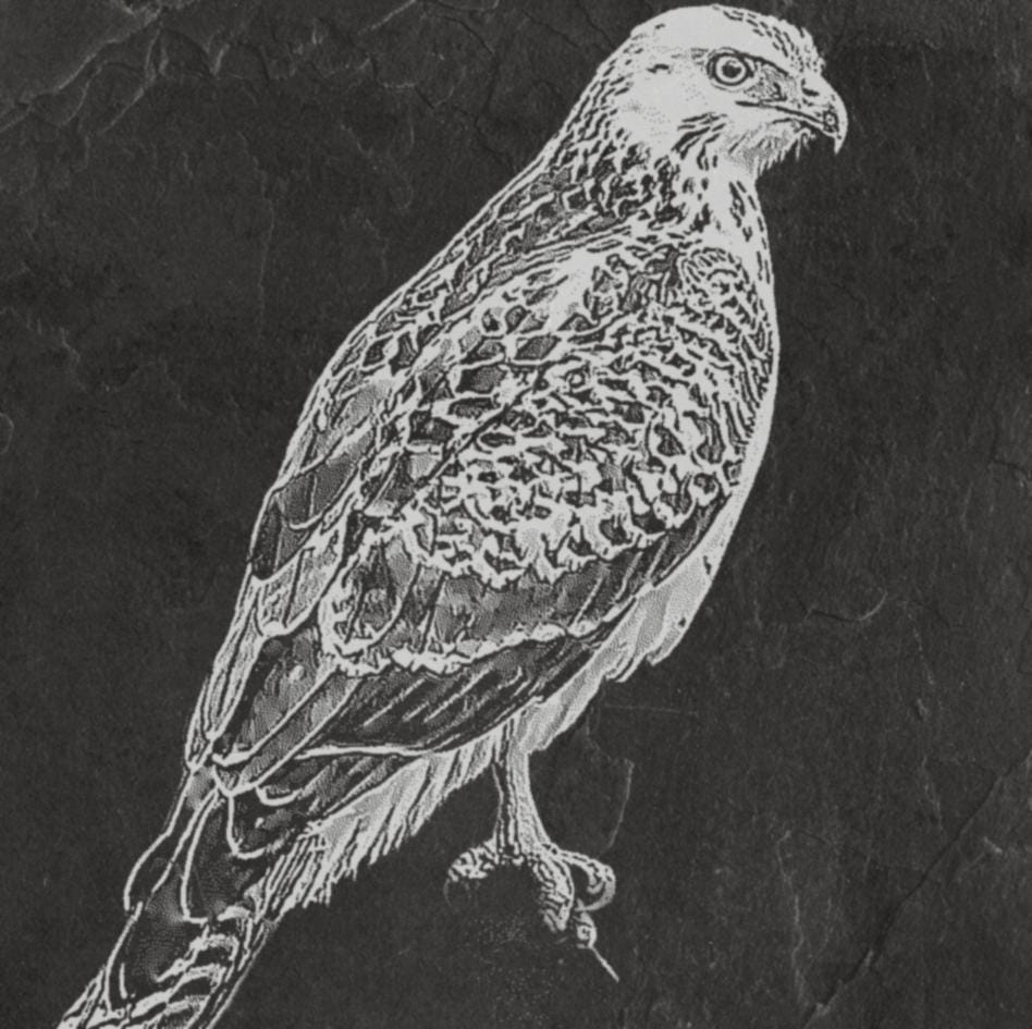 The Common Buzzard pendant in polished gold by MokshaGoldSculptures, featuring detailed Buteo buteo in flight and perched.