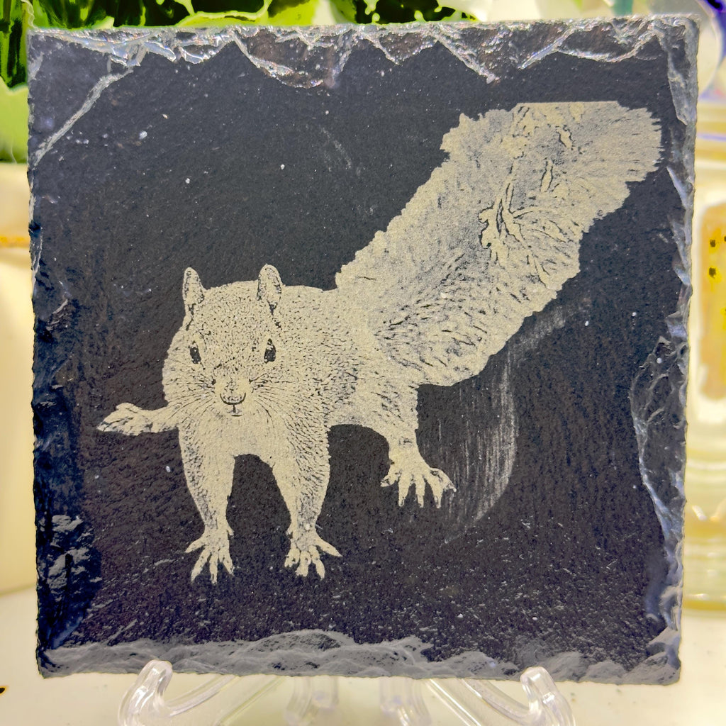 Set of FOUR Red Squirrel Slate Coaster | UK Wildlife Art | Engraved Squirrel Coaster | Woodland Animal Gift | Natural Slate