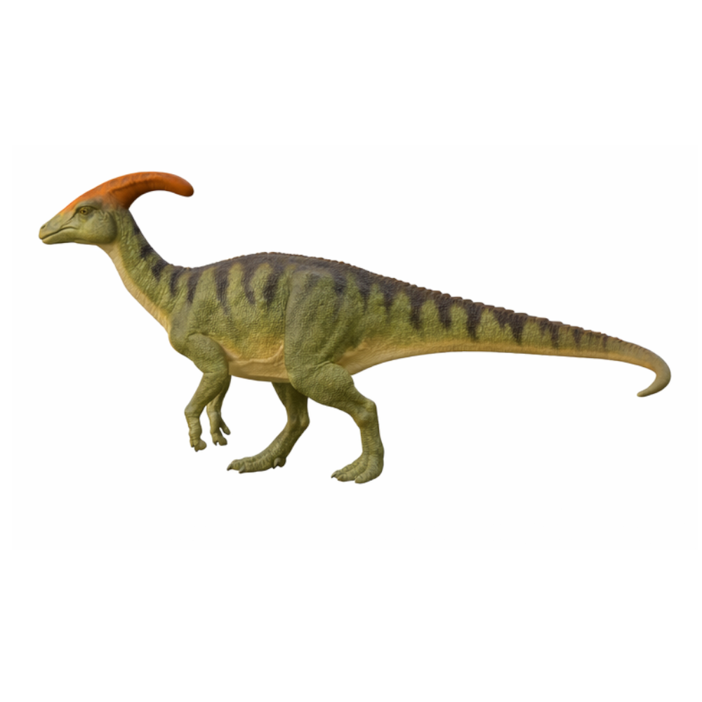 Parasaurolophus 3D Printed Model – Dinosaur Sculpture | PLA & Smooth Nylon | Various Colors | Detailed Prehistoric Collectible