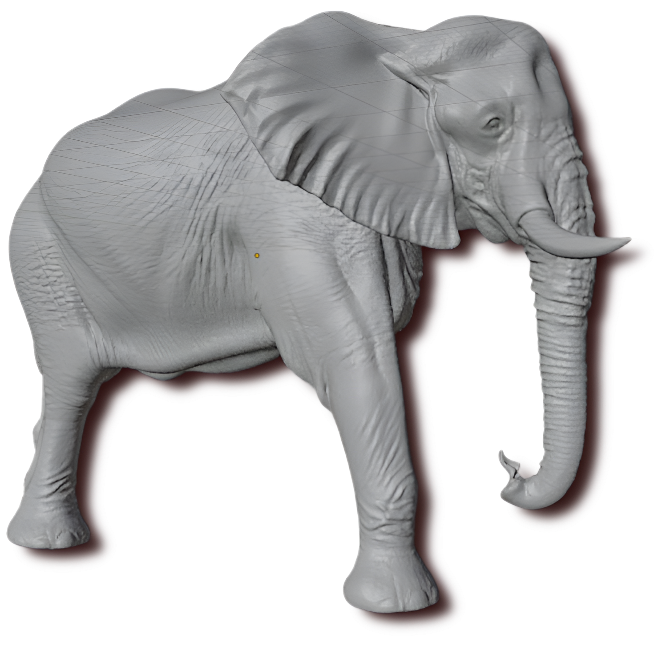 Elephant Wall Mount 3D Print | Wildlife Wall Decor | PLA Grey Sculpture | Large Animal Wall Art | 250mm Elephant Relief