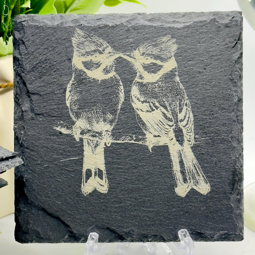 Bird Slate Coaster Collection | Handmade Engraved Bird Coasters | Robin Kingfisher Owl Woodpecker | Wildlife Gift