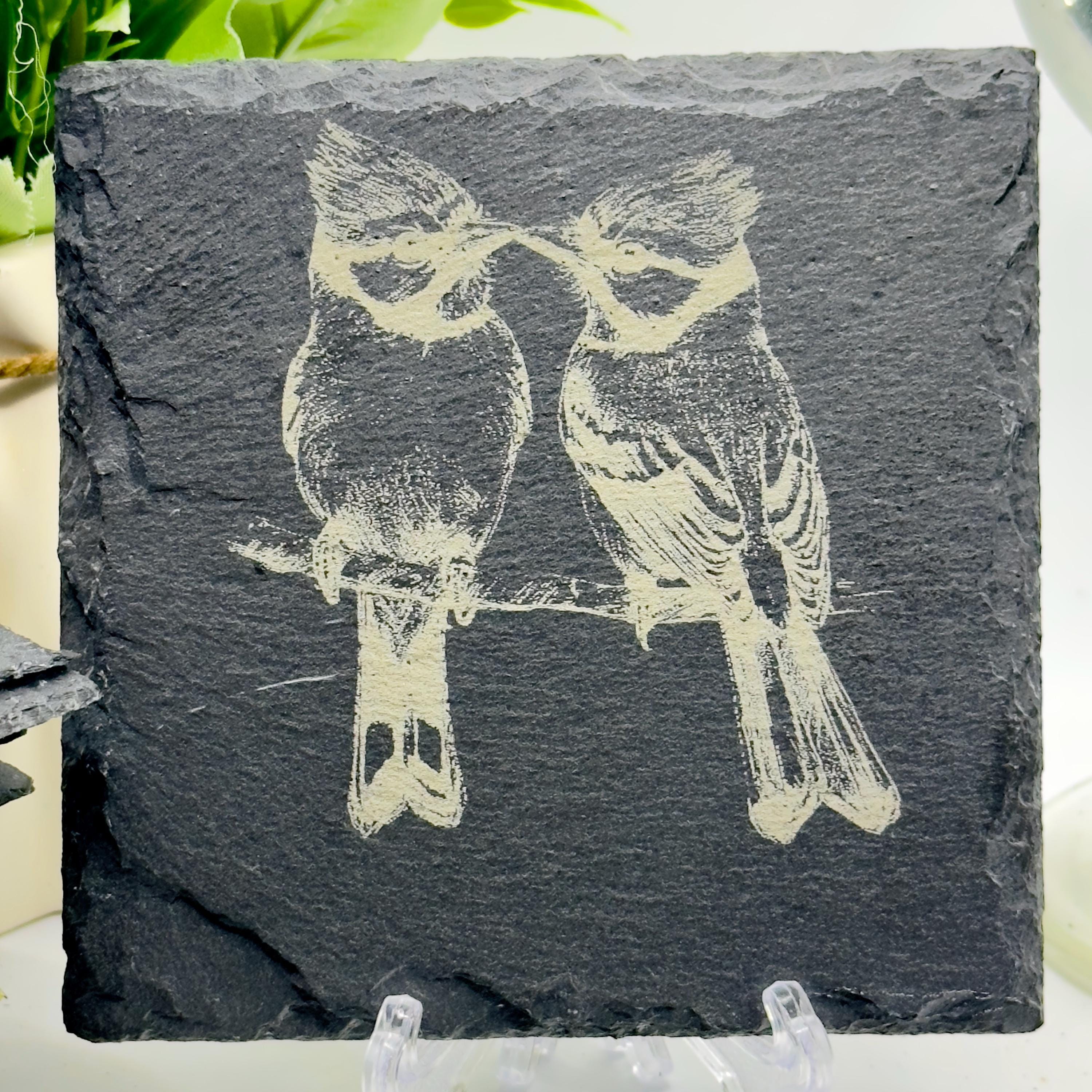 Bird Slate Coaster Collection | Handmade Engraved Bird Coasters | Robin Kingfisher Owl Woodpecker | Wildlife Gift