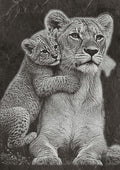Lion Family PNG Set – 5 Images | Lion, Lioness & Cubs | Wildlife Laser Engraving | Digital Download