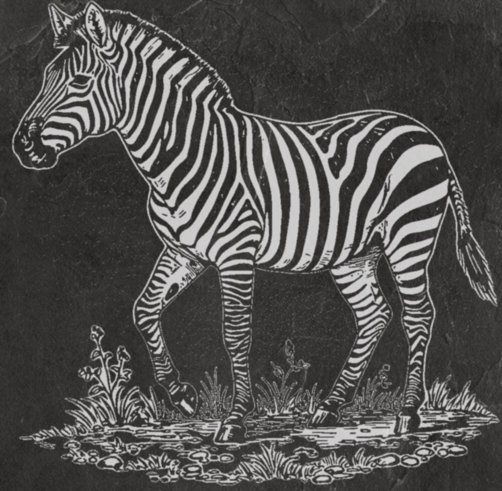 Zebra PNG Laser Engraving | Digital Download