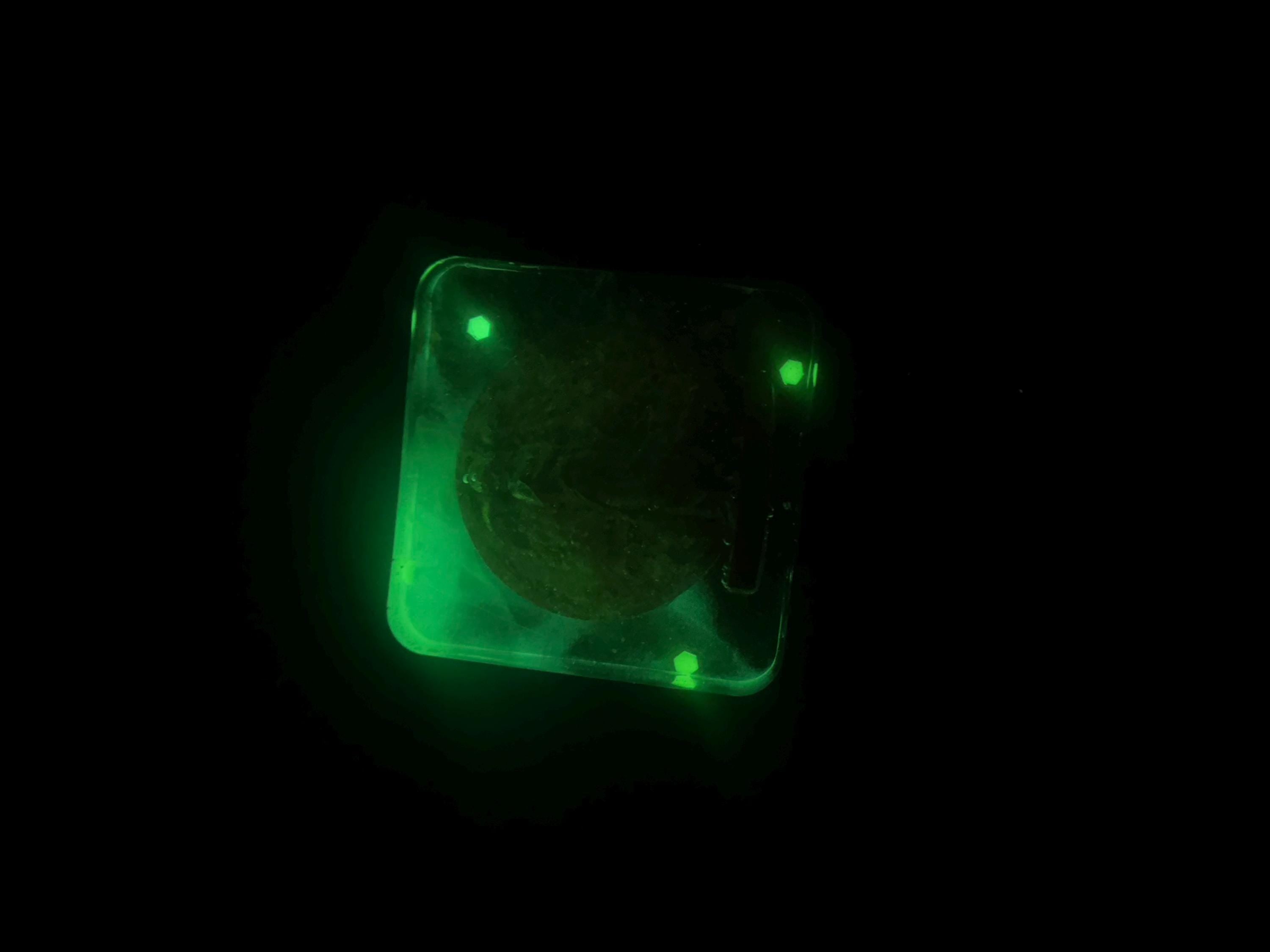 Angel with Wings Coaster Set – Glow in the Dark, Set of 3 Handmade Resin Coasters