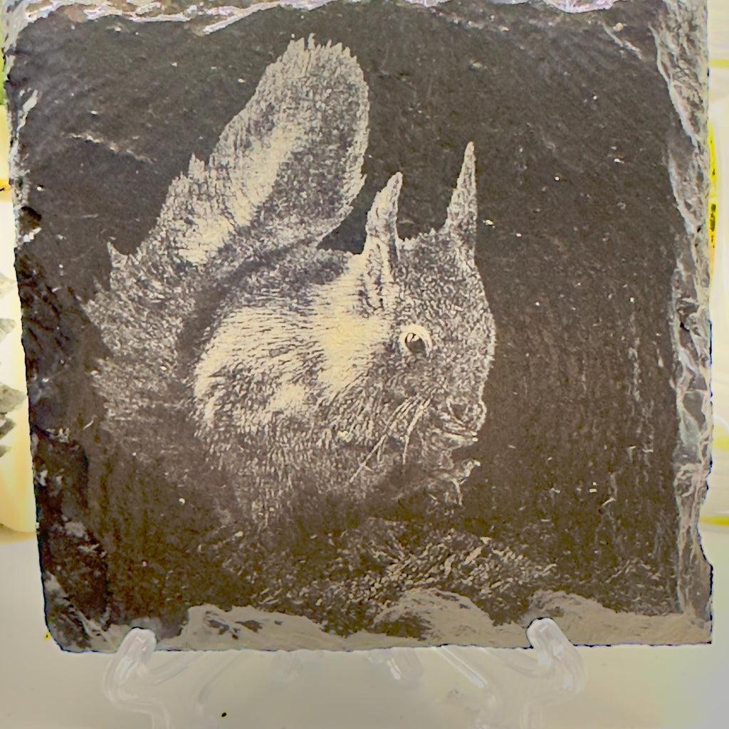 Set of FOUR Red Squirrel Slate Coaster | UK Wildlife Art | Engraved Squirrel Coaster | Woodland Animal Gift | Natural Slate