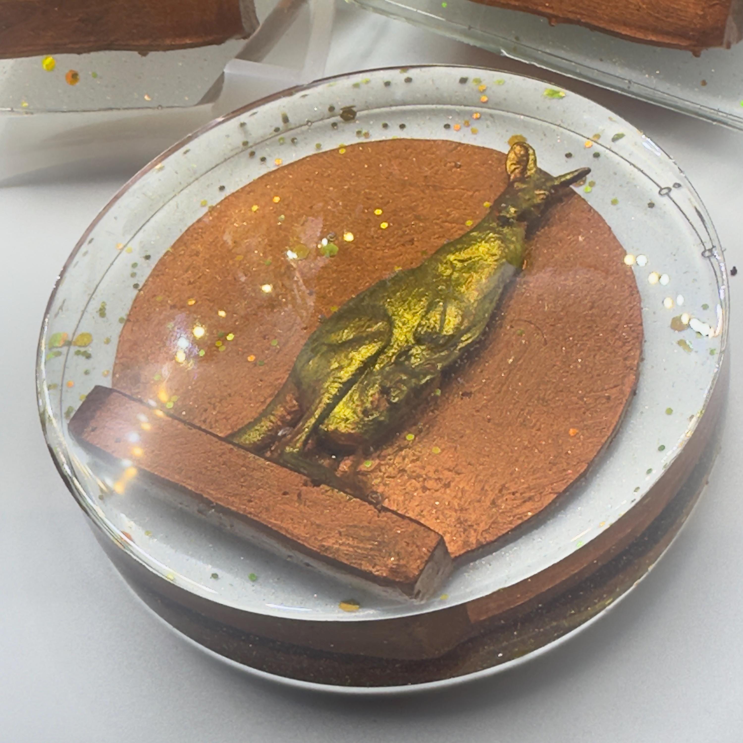 Kangaroo with Joey Resin Coaster – Australian Wildlife Gift