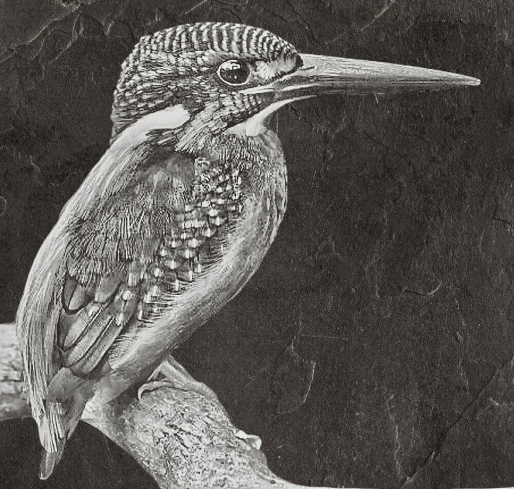 Kingfisher PNG Bundle | Kingfisher in Flight, Perched & Fish Catch | 12 PNG Files – 2 ZIP digital Downloads