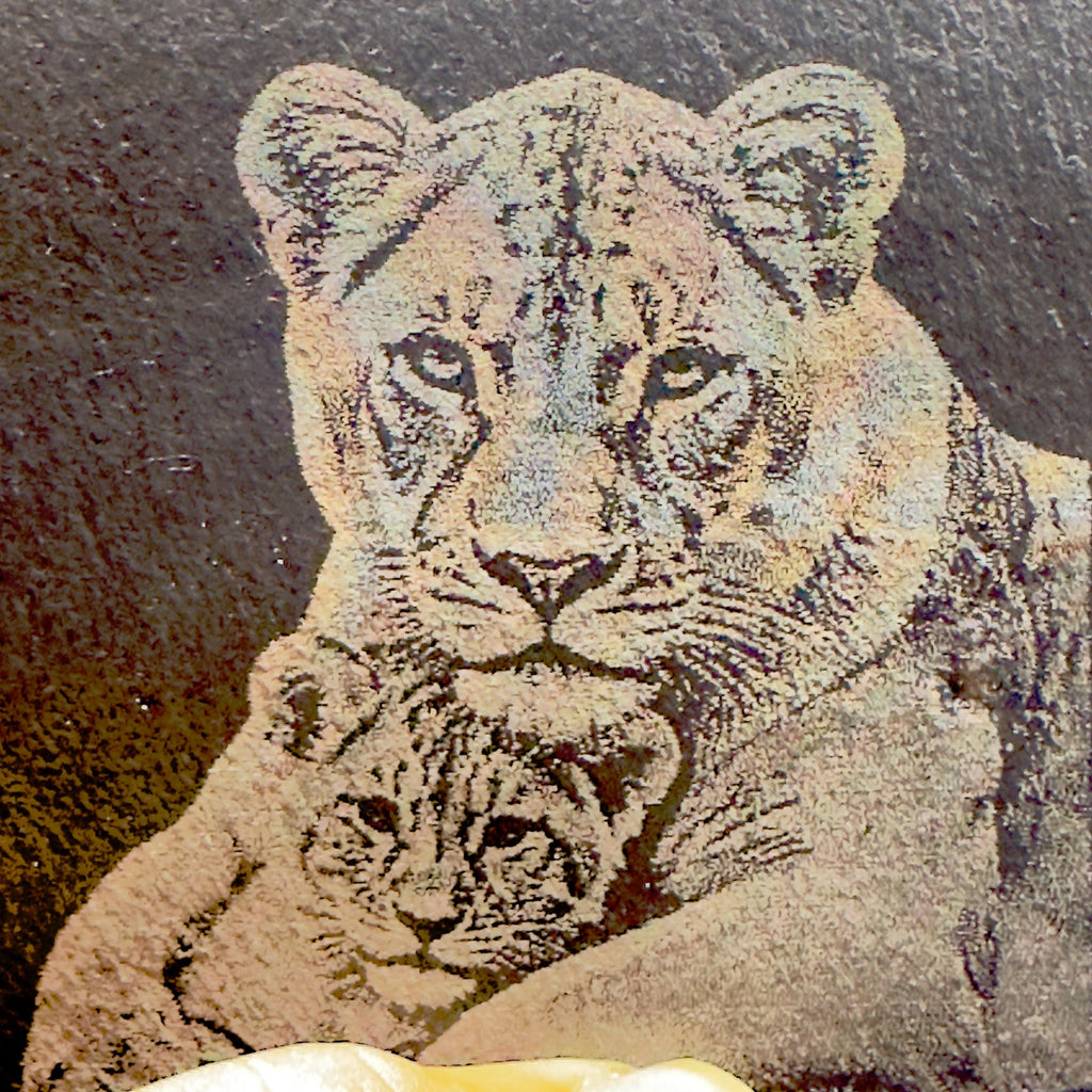 Lioness Hugging Cub Slate Coaster | Mother & Baby Lion Wildlife Art | Laser Engraved Natural Slate | Animal Lover Gift