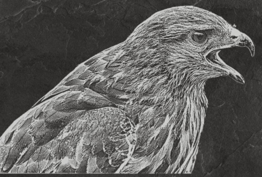 The Common Buzzard pendant in sterling silver matte finish by MokshaGoldSculptures.