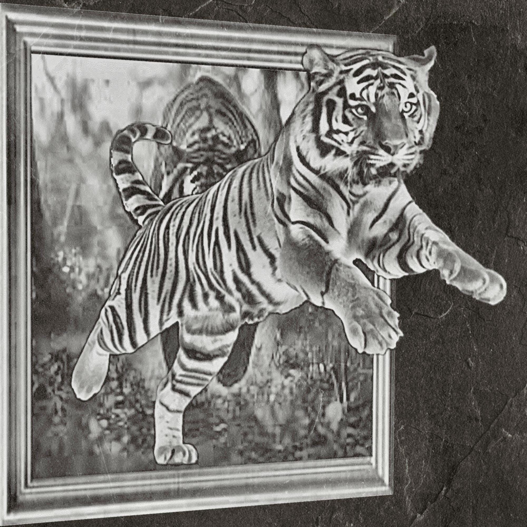 Lions & Tigers 3D Effect PNG Bundle – Angry Beasts Jumping from Frame | 6 Files ZIP Digital download