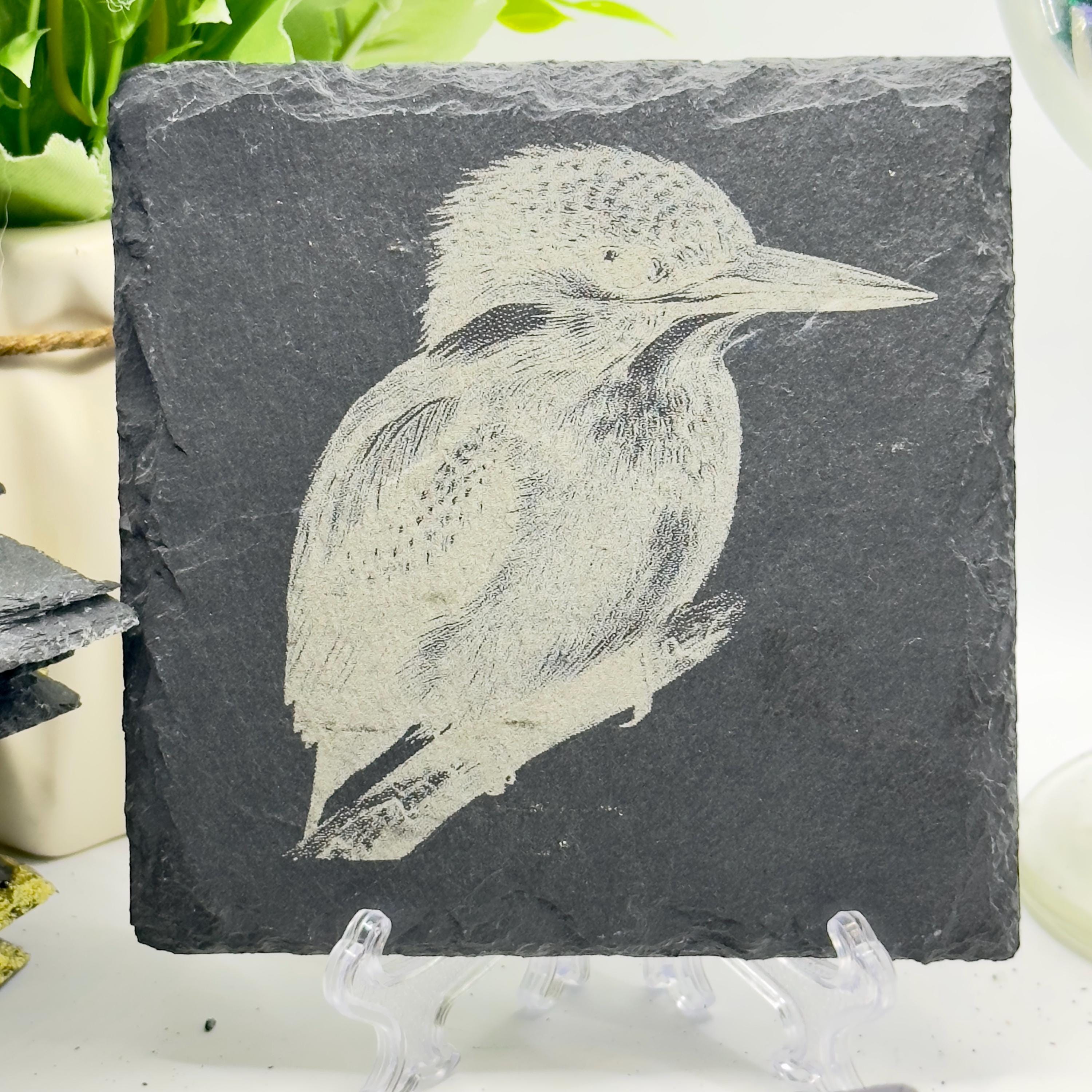 Bird Slate Coaster Collection | Handmade Engraved Bird Coasters | Robin Kingfisher Owl Woodpecker | Wildlife Gift