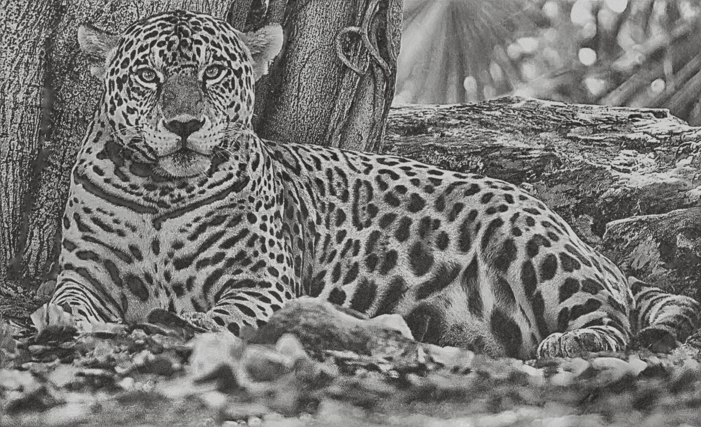 Jaguar PNG Bundle for laser engraving – 6 Wildlife Images | Big Cat Digital Download ZIP