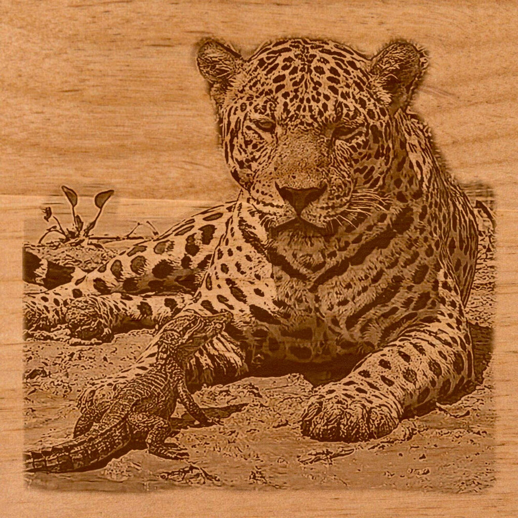 Leopard & Baby Crocodile PNG | Waterhole Scene | African Safari Wildlife | Laser Engraving Digital Download
