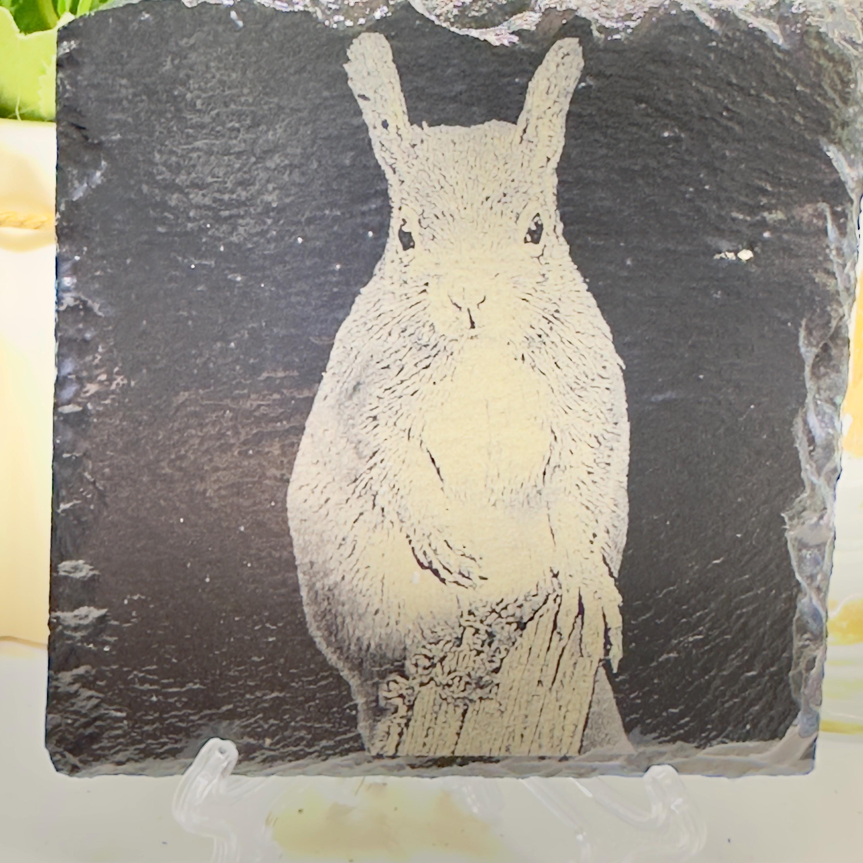 Red Squirrel Slate Coaster | UK Wildlife Art | Engraved Squirrel Coaster | Woodland Animal Gift | Natural Slate