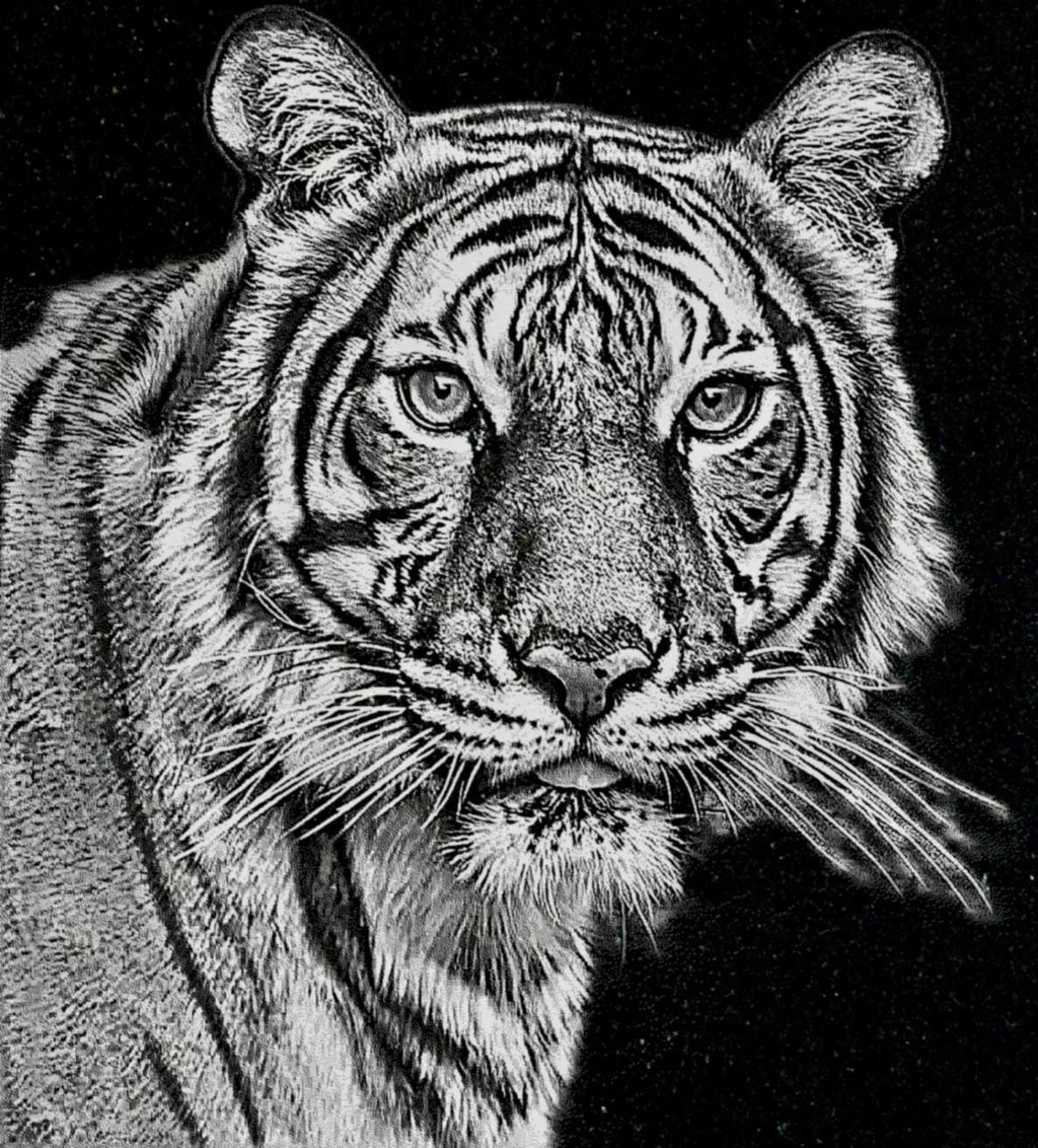 Big Cats Portrait PNG Bundle – Tigers, Cheetah, Puma & Jaguar | 16 Files in 3 ZIPs