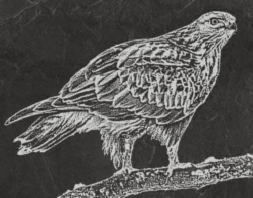 The Common Buzzard pendant in sterling silver, high polish finish by MokshaGoldSculptures.