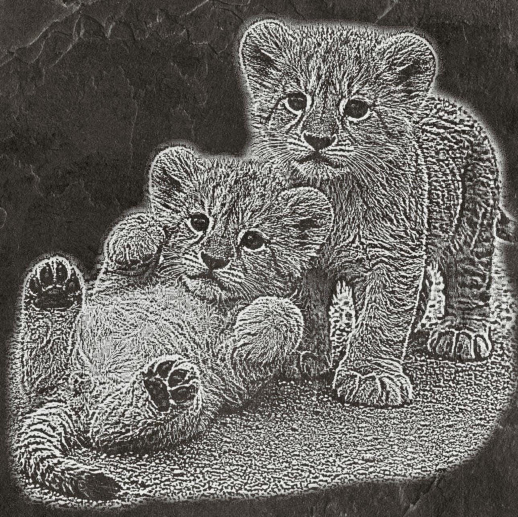 Lion Waterhole PNG Set – 5 Images | Lionesses Portrait & Playful Cubs | Wildlife Laser Engraving | Digital Download