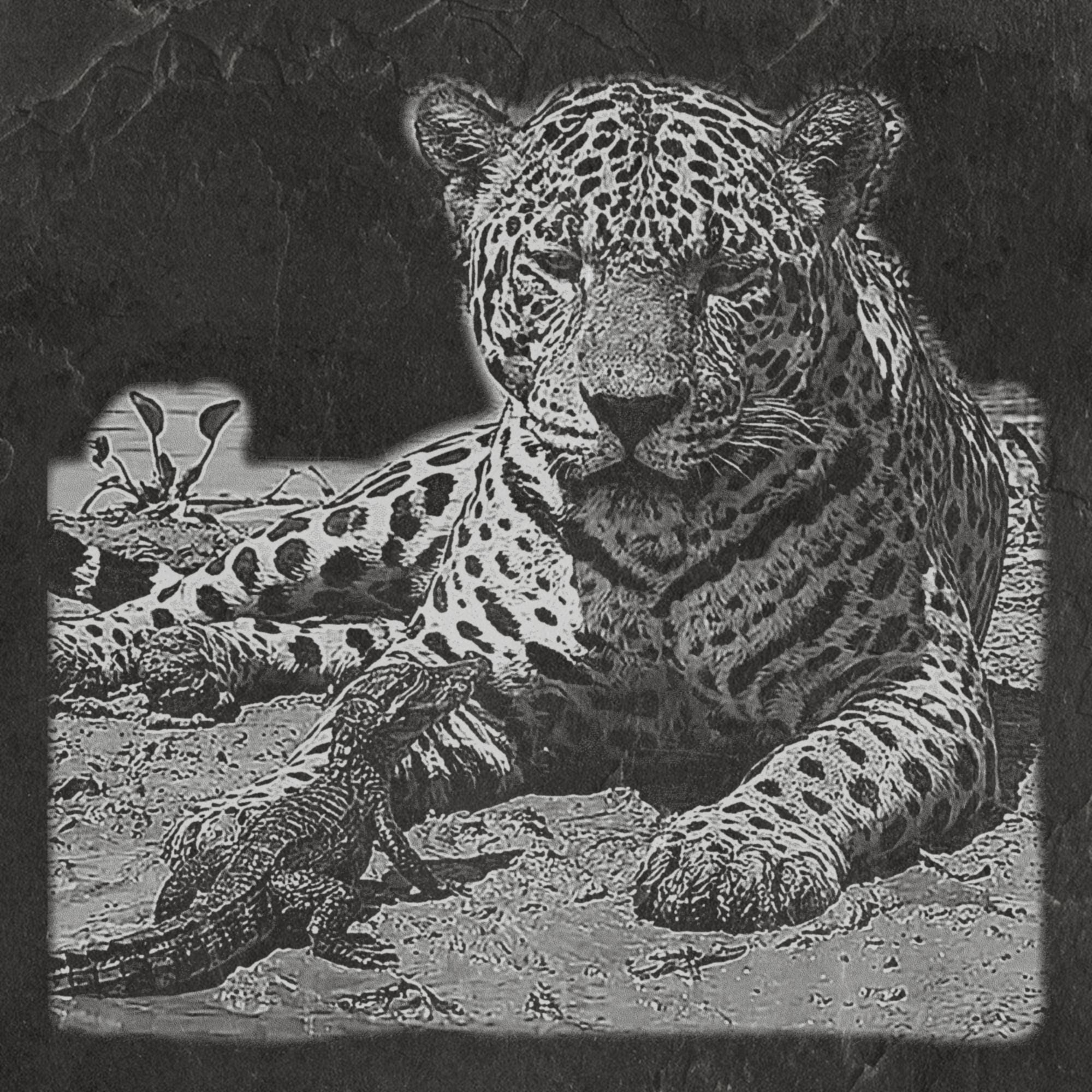 Leopard & Baby Crocodile PNG | Waterhole Scene | African Safari Wildlife | Laser Engraving Digital Download