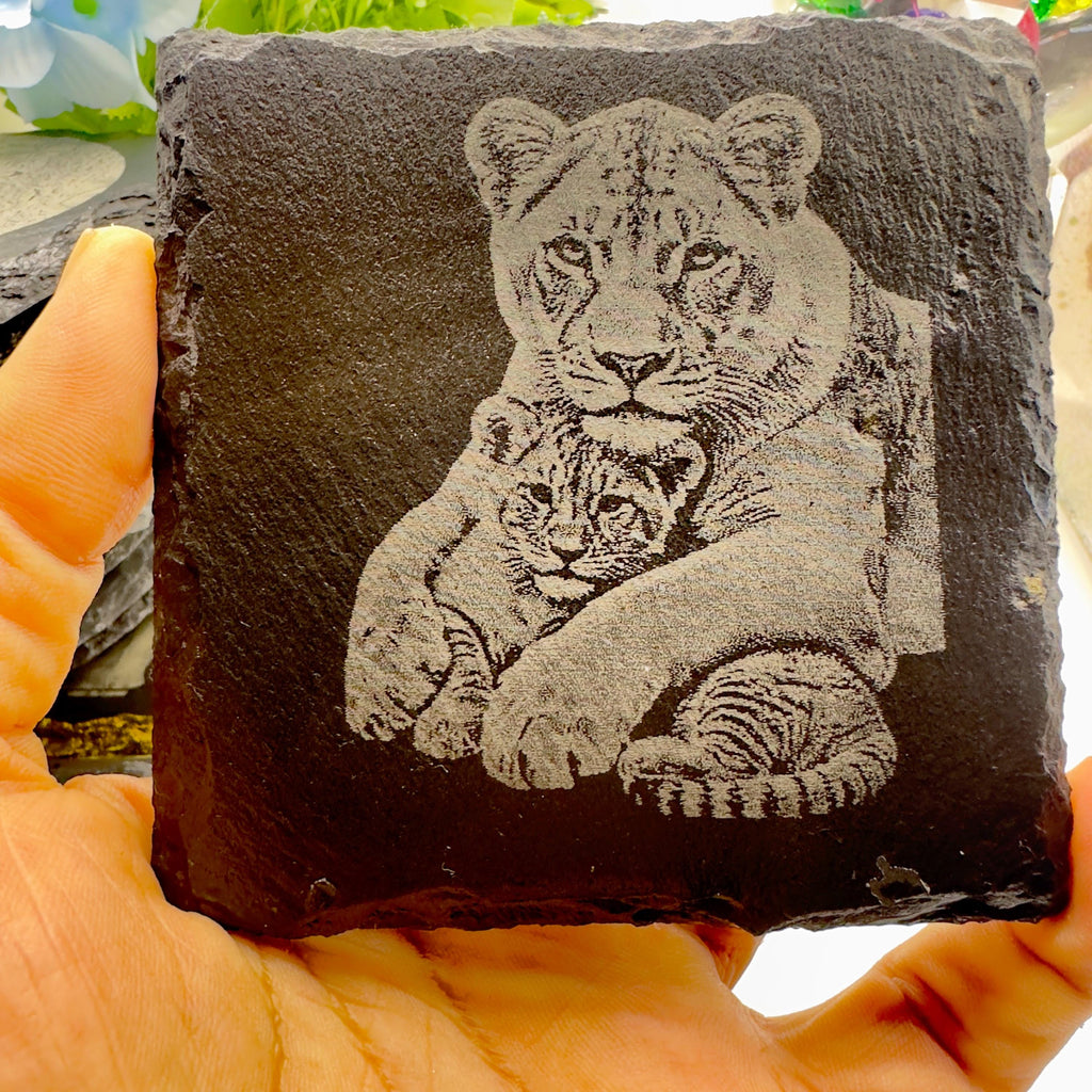 Lioness Hugging Cub Slate Coaster | Mother & Baby Lion Wildlife Art | Laser Engraved Natural Slate | Animal Lover Gift