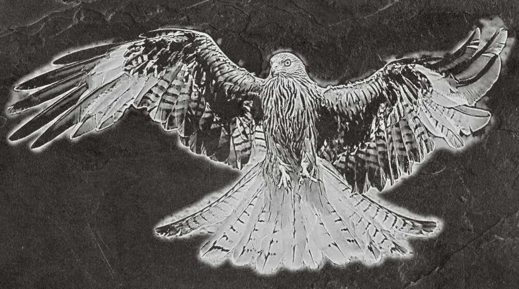 8 PNG files 2 zip files Red Kite Birds of Prey in Flight & Perched | Woodland Wildlife Art | British Bird Nature Design