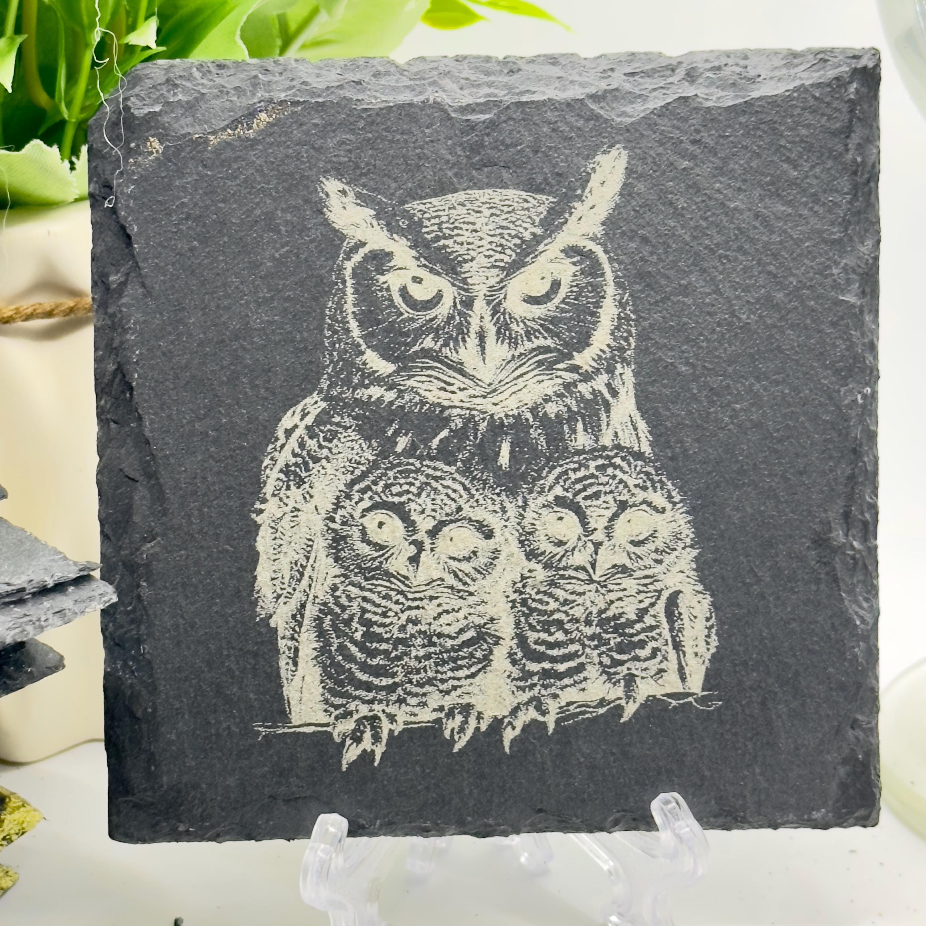 Bird Slate Coaster Collection | Handmade Engraved Bird Coasters | Robin Kingfisher Owl Woodpecker | Wildlife Gift