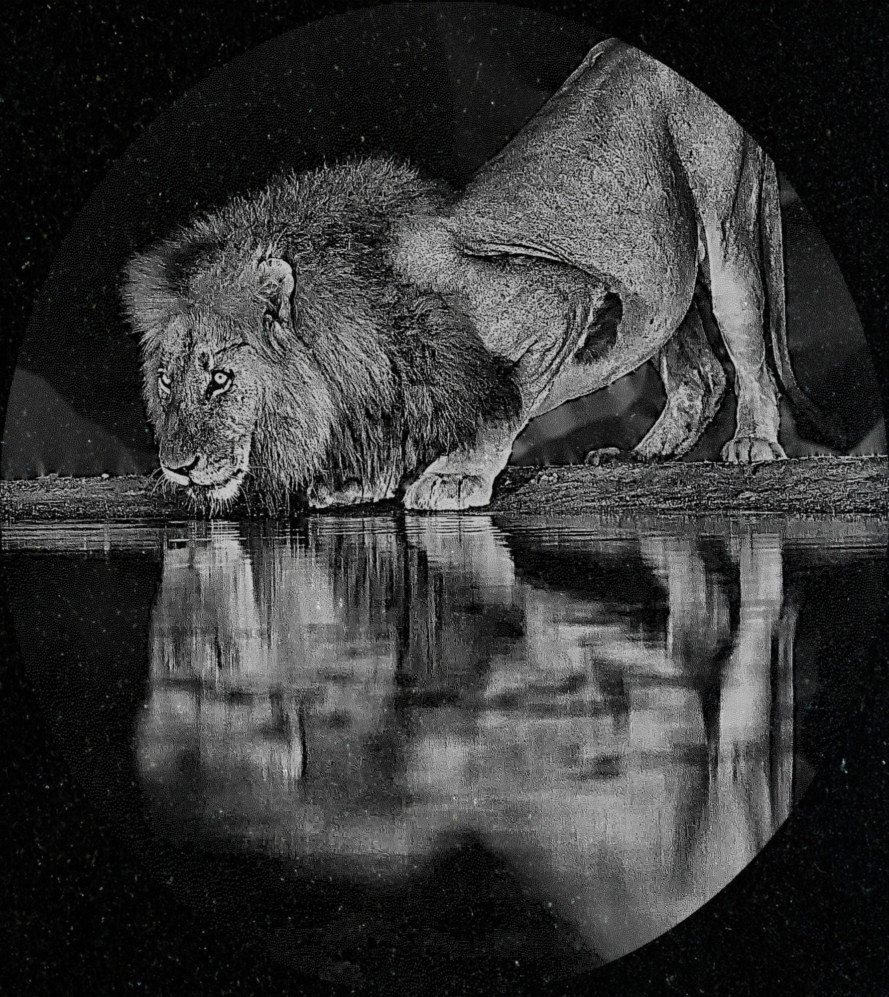 Lion at Waterhole PNG Bundle – 10 African Wildlife Images | Digital Download in 2  ZIP