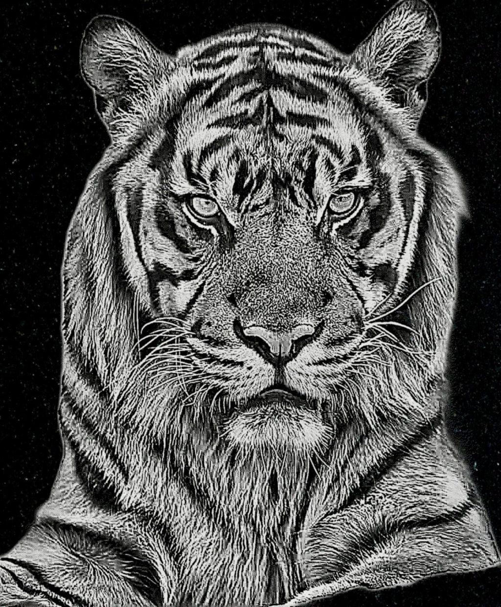 Big Cats Portrait PNG Bundle – Tigers, Cheetah, Puma & Jaguar | 16 Files in 3 ZIPs