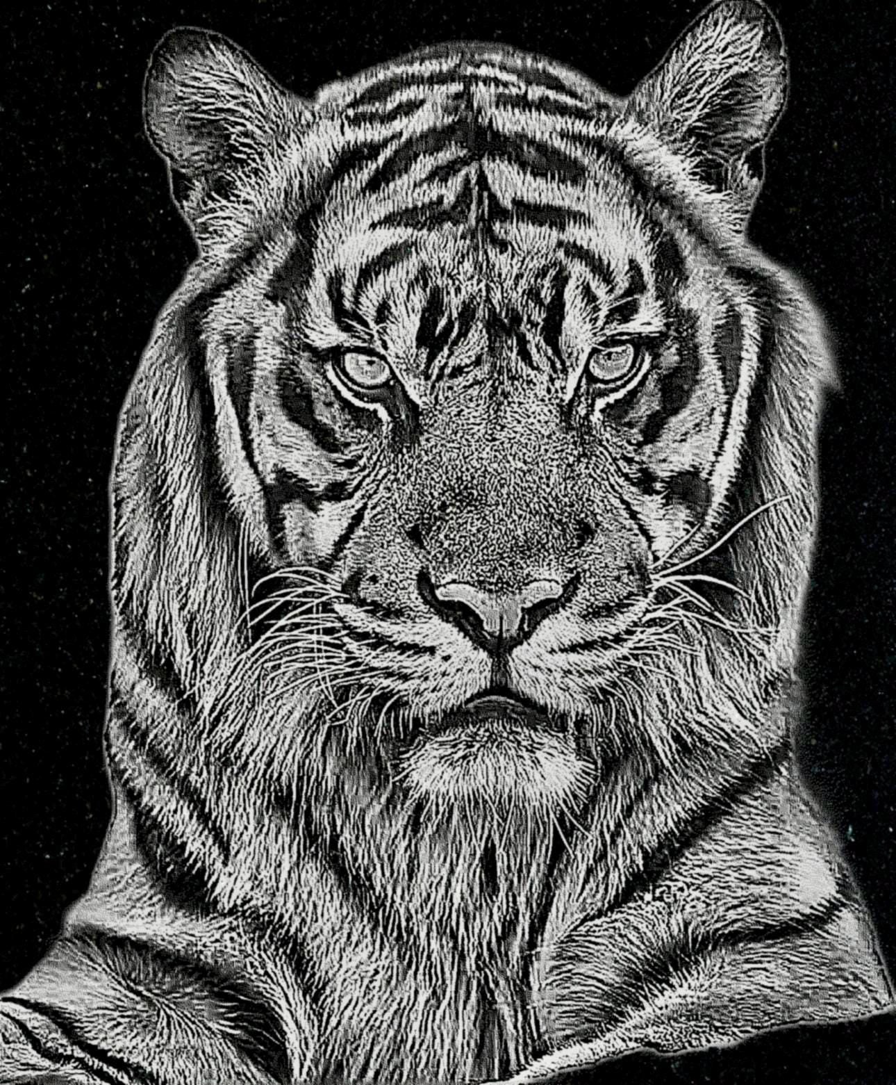 Big Cats Portrait PNG Bundle – Tigers, Cheetah, Puma & Jaguar | 16 Files in 3 ZIPs