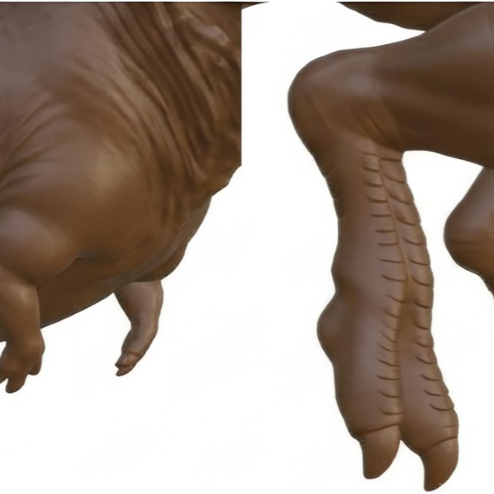Carnotaurus Dinosaur Model 3D Printed Figure – Realistic Theropod Sculpture – PLA, Nylon & Resin Options – Collectible Dino Display (130x60x110mm)