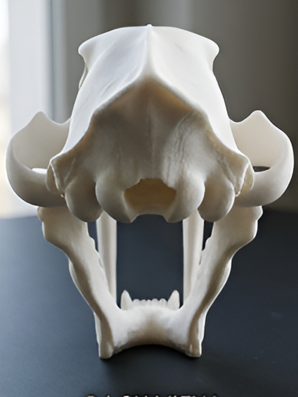Smilodon Saber Tooth Skull 3D Print | Saber-Toothed Cat Fossil Replica | Desk Decor Skull Model | Prehistoric Gift | PLA Nylon Resin | 140mm Model