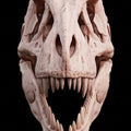 T-Rex Large Replica Skull 3D Print – Tyrannosaurus Rex Model – Highly Detailed Dinosaur Skull – PLA Resin Nylon – Prehistoric Decor Gift