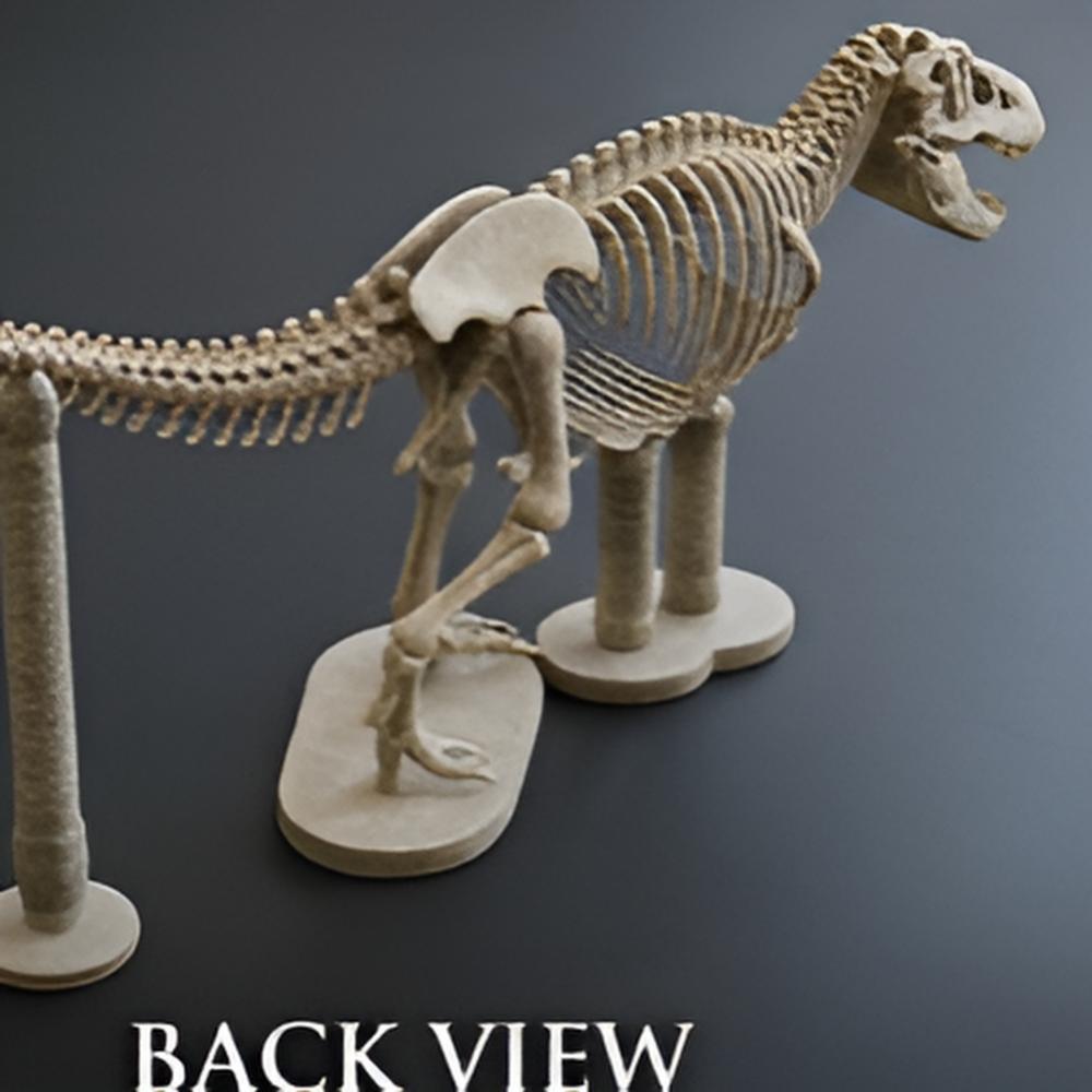 T Rex Skeleton 3D Print in metallic finish by MokshaGoldSculptures, shown on stand, BACK VIEW.