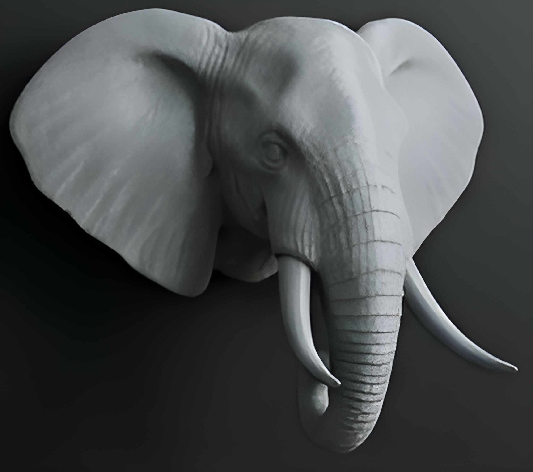 Elephant Wall Mount 3D Print | PLA Gold Sculpture | Wildlife Wall Decor | Large 250mm Statement Piece | Elephant Head Art