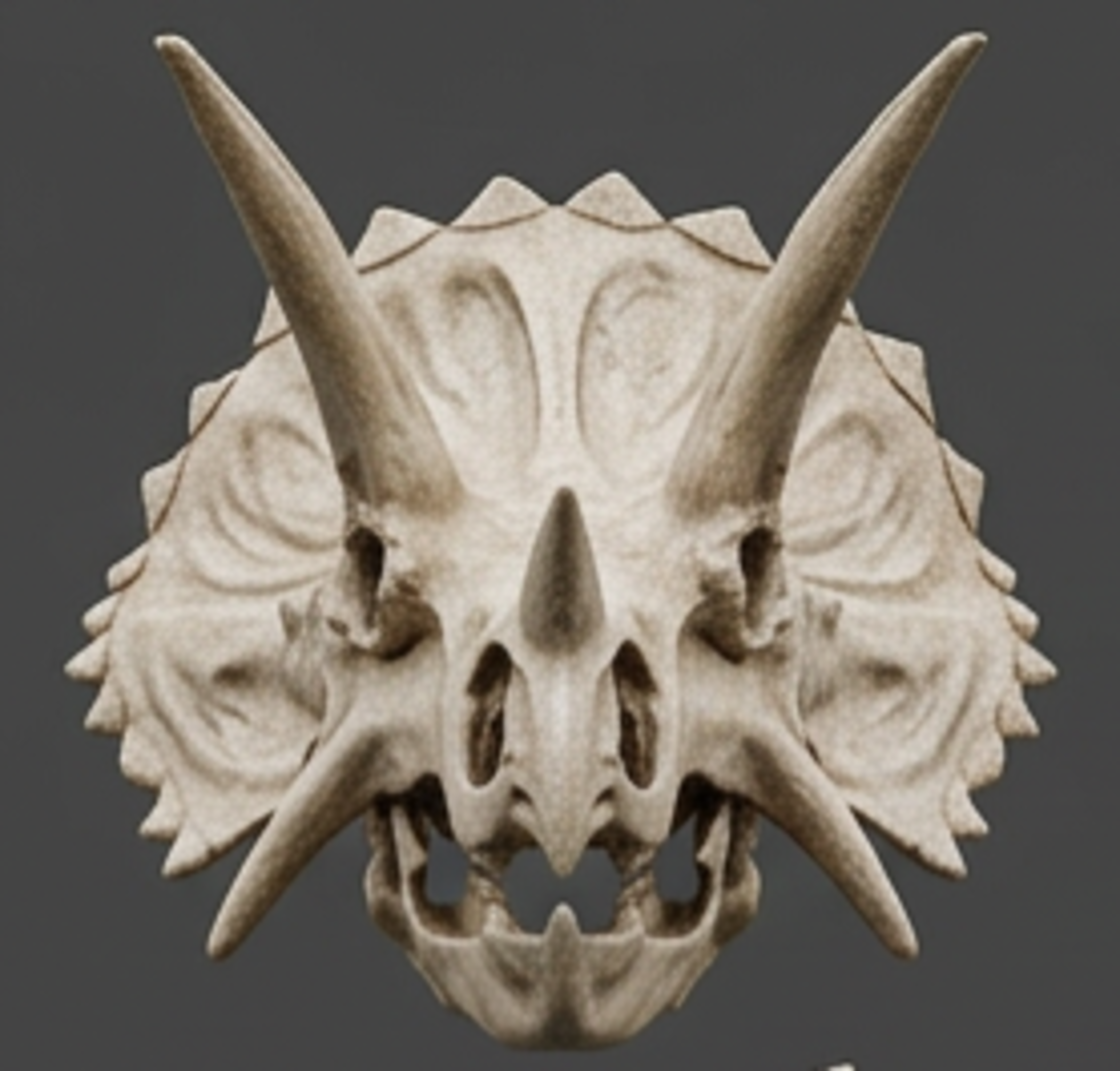 Triceratops Skull Replica 3D Print – Detailed Dinosaur Skull Model | PLA, Nylon & Resin