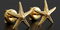 Royal Starfish Stud Earrings | Astropecten articulatus | 9K Gold, Sterling Silver or Polished Yellow Brass | Ocean Jewelry | Nautical Gift