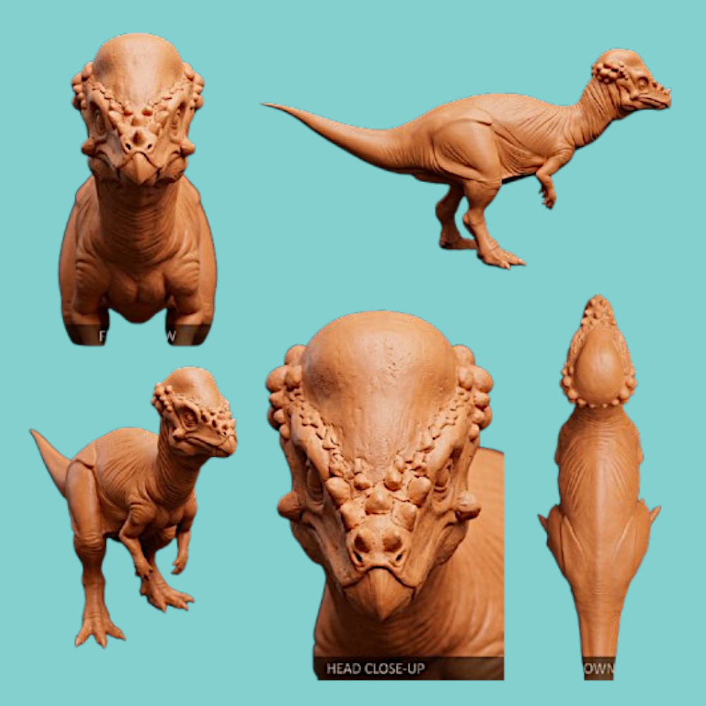Pachycephalosaurus Dinosaur 3D Print (130mm) – Dome Head Dino Model – PLA, Nylon, Resin, TPU – Desk Decor Gift