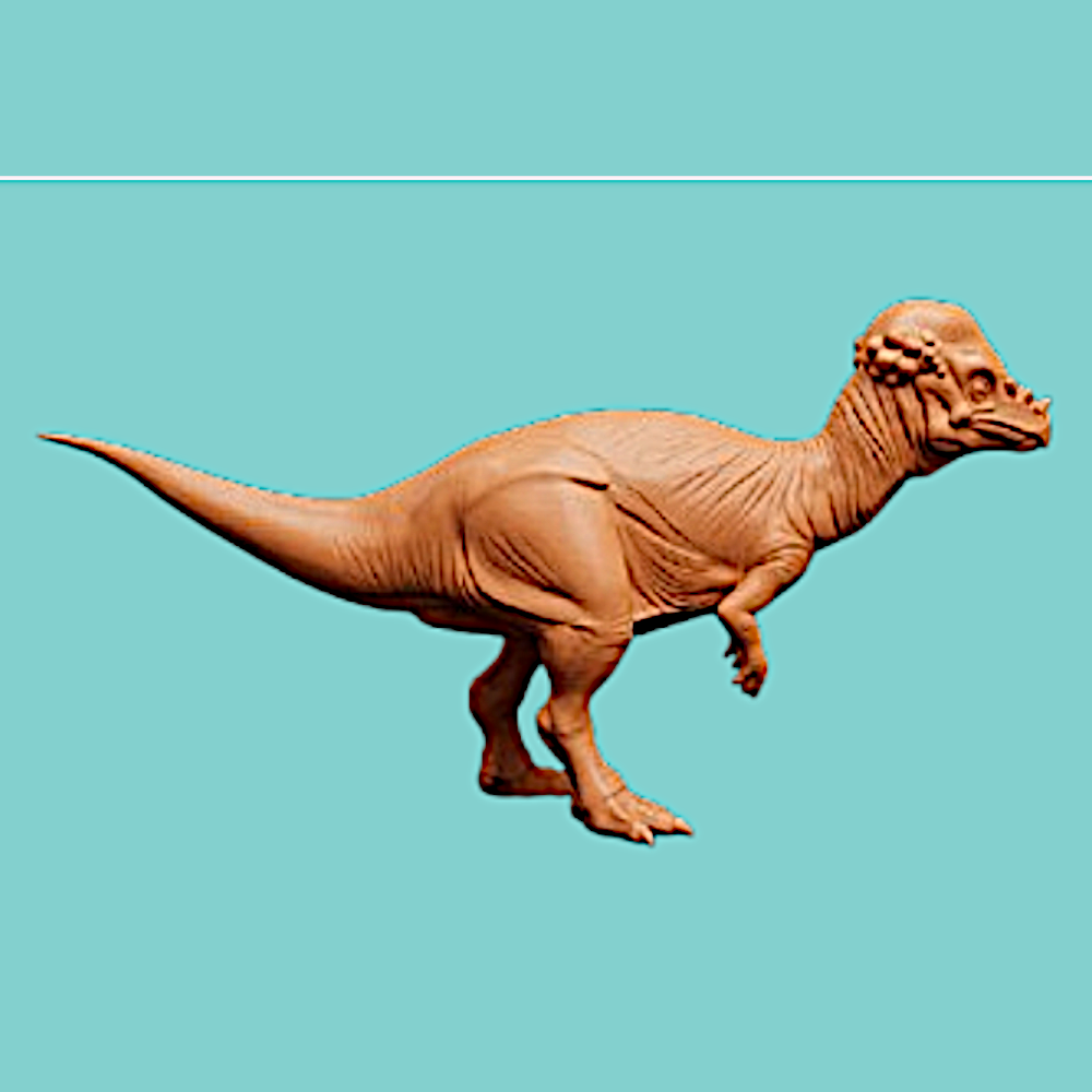 Pachycephalosaurus Dinosaur 3D Print (130mm) – Dome Head Dino Model – PLA, Nylon, Resin, TPU – Desk Decor Gift
