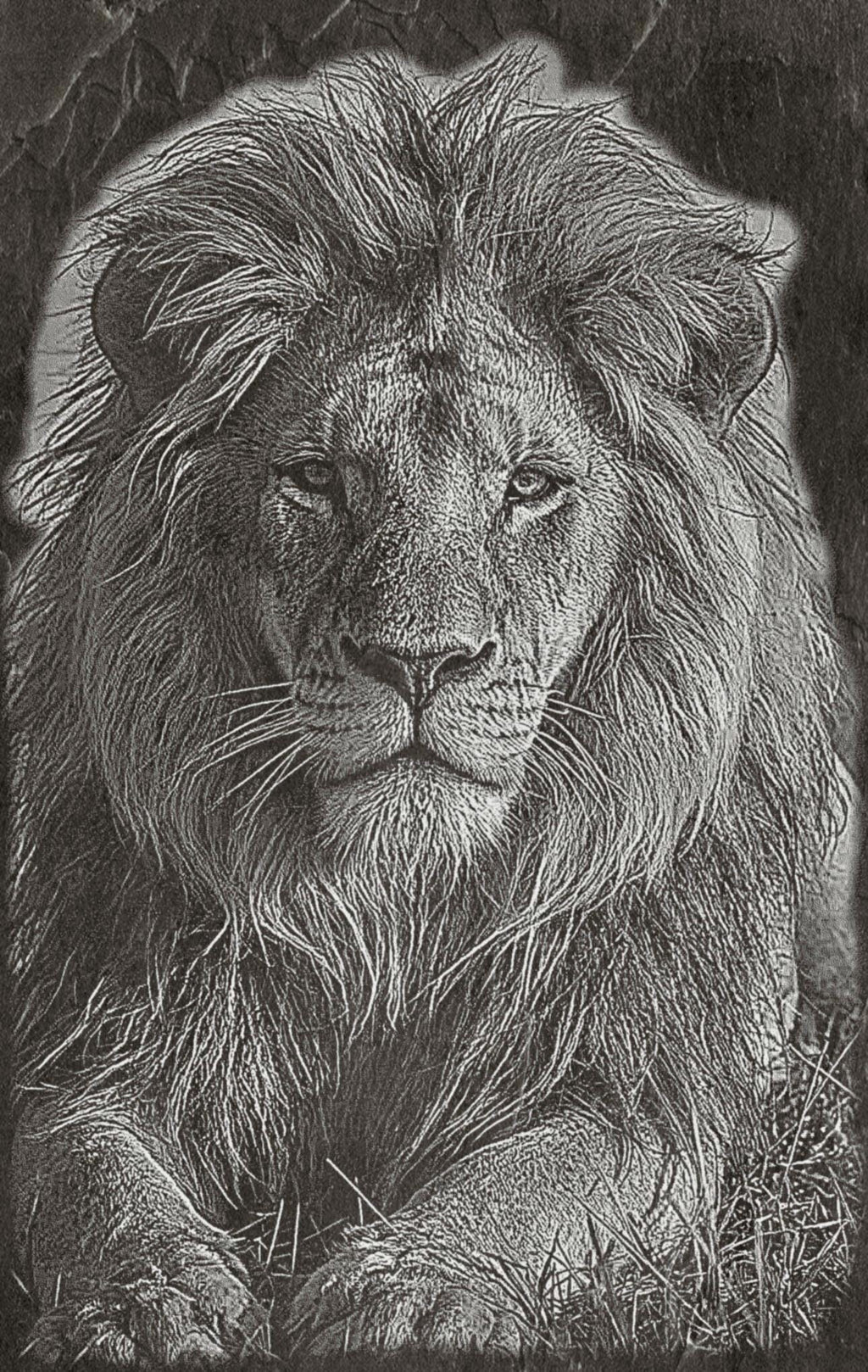 Lion Family PNG Set – 5 Images | Lion, Lioness & Cubs | Wildlife Laser Engraving | Digital Download